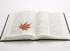 塞维利亚逆袭，拜仁米兰之争